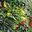 naturalezayarte