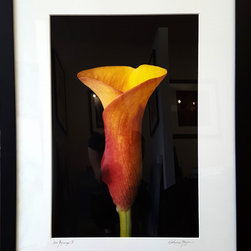 "New Beginnings II" by Katherine Morgan Framed 35x27 - Photographs