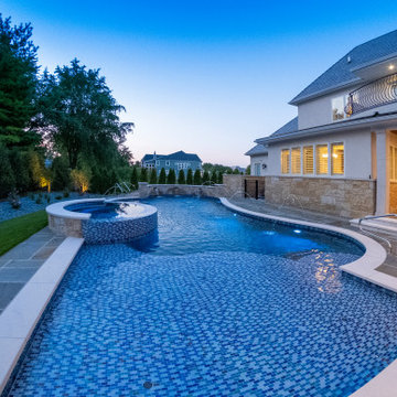 Naperville, IL freeform swimming pool with hot tub, large sunshelf, glass tile