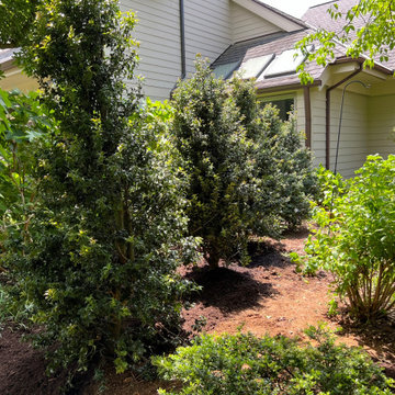 Native Plant Transformation of a HOA restricted landscape