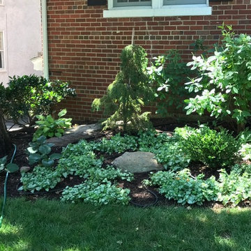 Foundation planting before and after