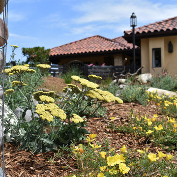 Solana Beach Sustainable Landscape and Bird Sanctuary
