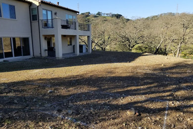 Kothari backyard