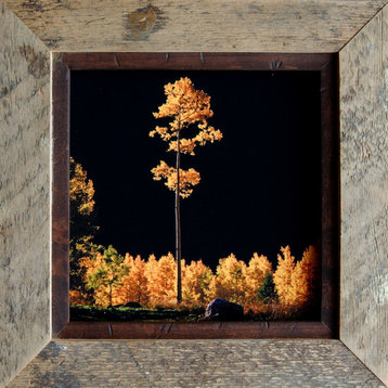 Rustic Frames, Barnwood Frame With 1/2" Alder Inset, Park City Series, 16"x16"