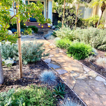 Native Meadow Brightens a small Front Yard