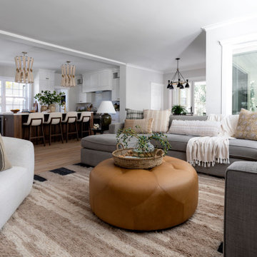 Classic Transitional