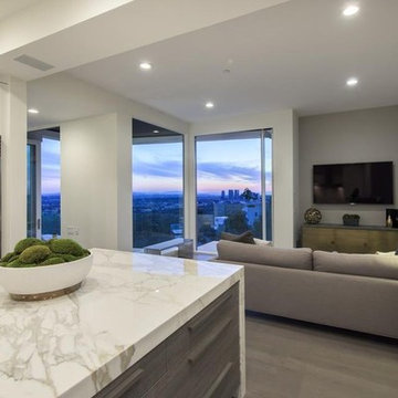 remodeling in flicker LA family room