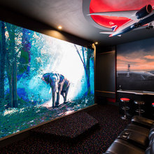 Entertainment Room
