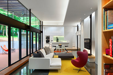 Modern living room in Raleigh.