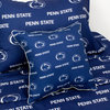 Penn State Nittany Lions 16"x16" Decorative Pillow, 2 Decorative Pillows