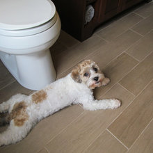 lakehouse bath