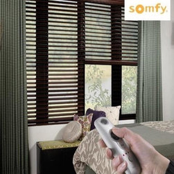 Motorization - Window Blinds