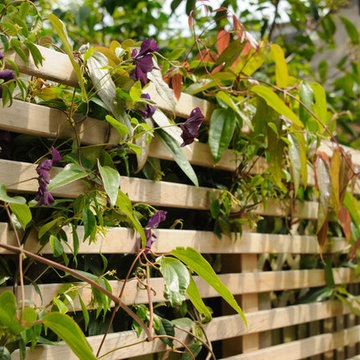 Tiny Blackheath Garden