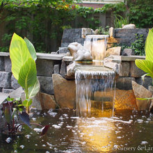 pool pond ideas