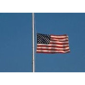 Brian McCarthy's photo