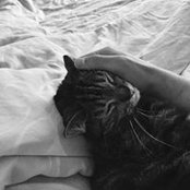 Roel Steffen's photo