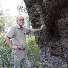 IROS Arb