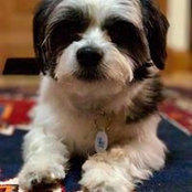 Judith Leftt's photo