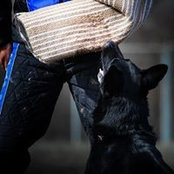 Gina Pfeffer's photo