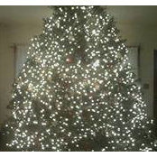 Nina Schell's photo