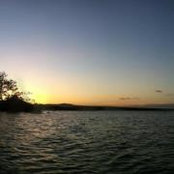 Jessi Flores's photo