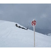 Kostas's photo