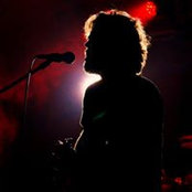 Aaron Parolins foto