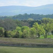 Amanda Hayes's photo