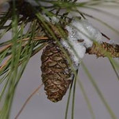 Foto von Mary Lindmark
