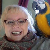 Donna Gorichs's photo