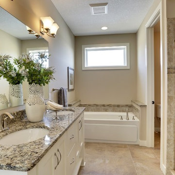 Brookview (Rambler) - Spring 2015 Parade of Homes (Hugo, MN)