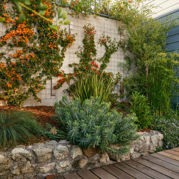 Explosive Color & Whimsical Plants