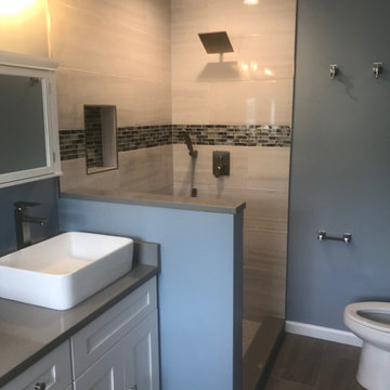 Remodel full home