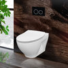 In-Wall Toilet Set, Black Round Actuators, 2"x4" Carrier & Tank