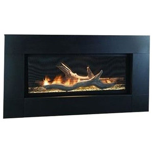 Napoleon Plazmafire Whd31nsb Model Plazmafire Gas Fireplace