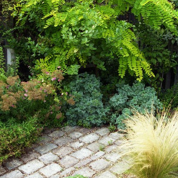Small Xeriscape Cottage Garden