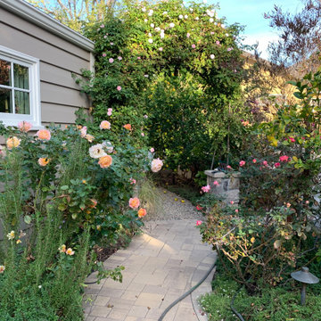 California Craftsman Forest - 5 Years Later
