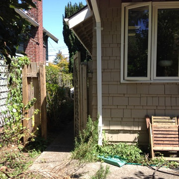Zen Water project - ongoing