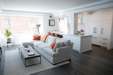 Living room - living room idea in New York