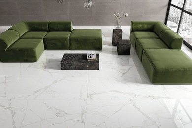 Home design - contemporary home design idea in San Diego