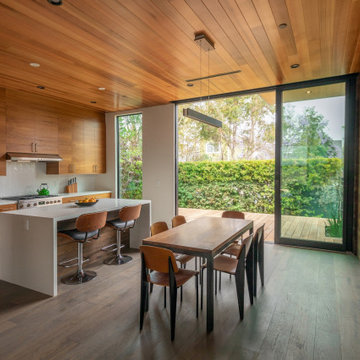 Venice Beach Contemporary Craftsman