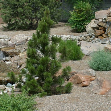Xeric: Landscaping Projects