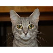 Darla Liles's photo