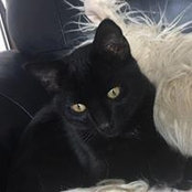 Isobel Carter's photo