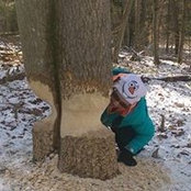 Janie Treinish's photo
