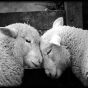 Marge Calabrese's photo