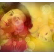 Deniz Tanさんの写真