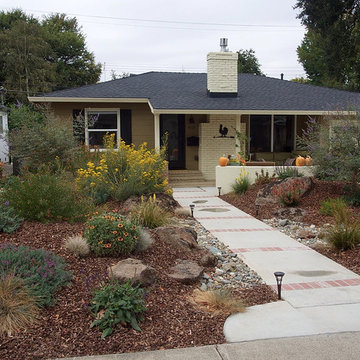 Landscape Designs