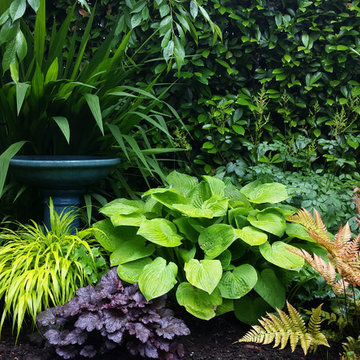 Shady Border Planting