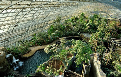 7 plantes tropicales du zoo de Vincennes à acclimater chez vous